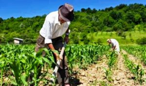 Bahia Rural Contemporânea gera R$ 20 milhões para agricultura familiar