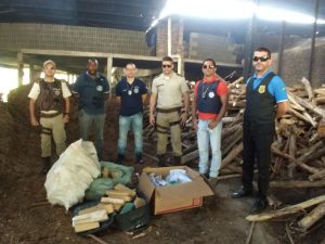 Teixeira de Freitas: Polícia incinera 87 quilos de drogas