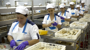 Bahia é o estado que mais gerou postos de trabalho nas micro e pequenas empresas