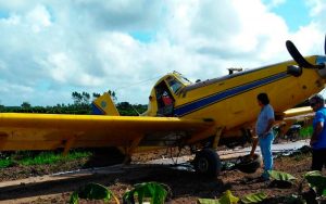 Itabela: Avião agrícola faz pouso de emergência após bater em fios de rede elétrica