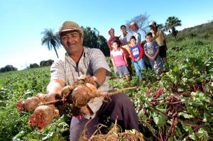 Governo muda regras para empréstimo a agricultores familiares