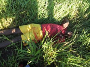 Corpo de homem executado a tiros é encontrado na zona rural de Teixeira de Freitas