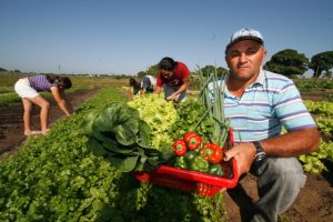 Veracel e UFSB assinam convênio para agricultura familiar