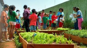 Estudantes de Ibirapuã desenvolvem produção de hortas