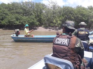 CIPPA e ICMBio e IBAMA coíbem captura do carangueijo-uçá