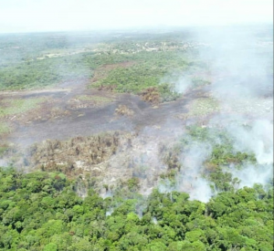 Incêndio atinge vegetação em Trancoso