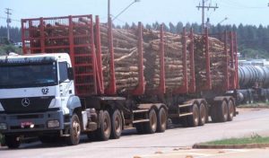 Tráfego de carretas de Eucalipto estragam rodovias baianas