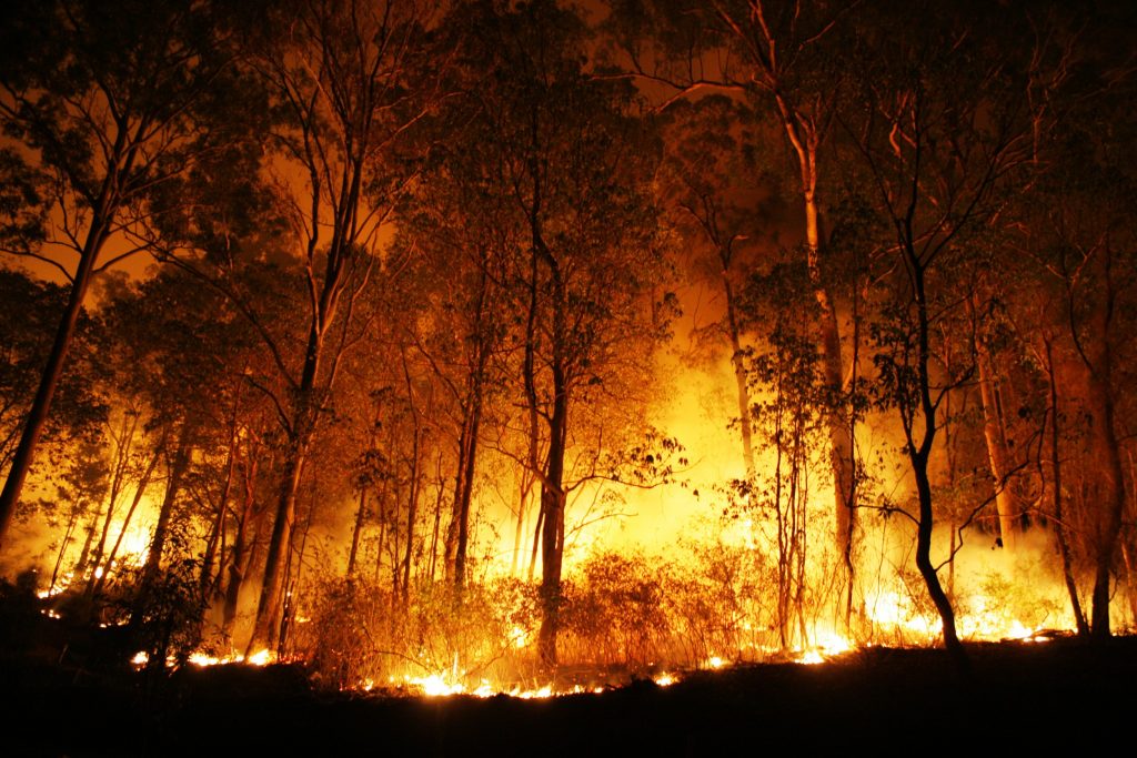 Estiagem causa incêndios em vegetação nas cidades da região