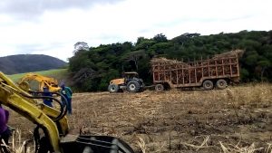 Usina de Ibirapuã aumentará produção de Etanol em 2019