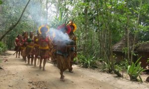 STJ mantém processo de ampliação de terra indígena no extremo sul