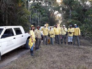 Brigadistas controlam incêndio no Monte Pascoal