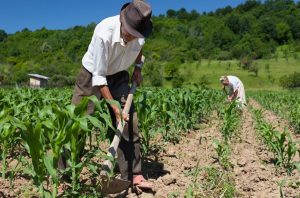 Crédito Rural é tema de reunião no Extremo Sul da Bahia