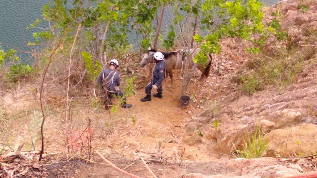 Teixeira: Égua fica presa em pedreira desativada em fazenda