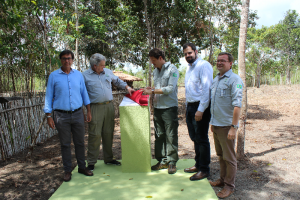 Parque Nacional Pau Brasil agora é administrado por empresa privada