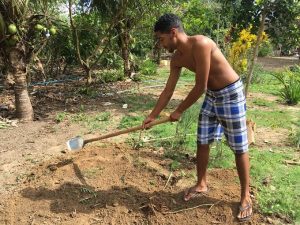 Agricultura agroecológica é destaque no extremo sul