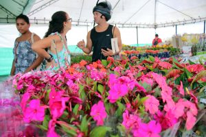 Festival Porto em Flores volta a Porto Seguro