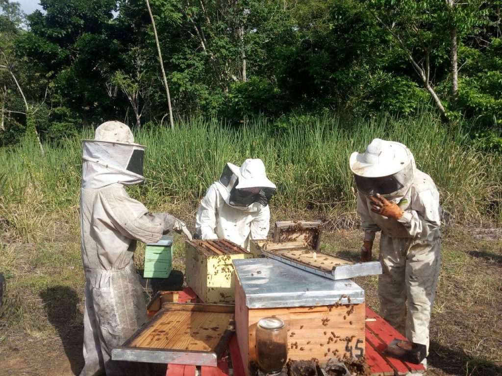 Apicultores de Mucuri terão sede para beneficiar o mel