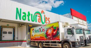 Naturaves: Emprego e Renda em Eunápolis