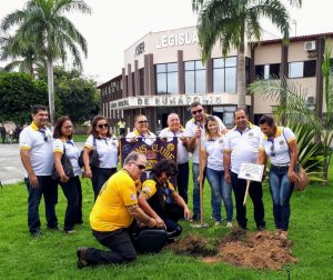 Eunápolis: Lions promove ação de plantio de árvores