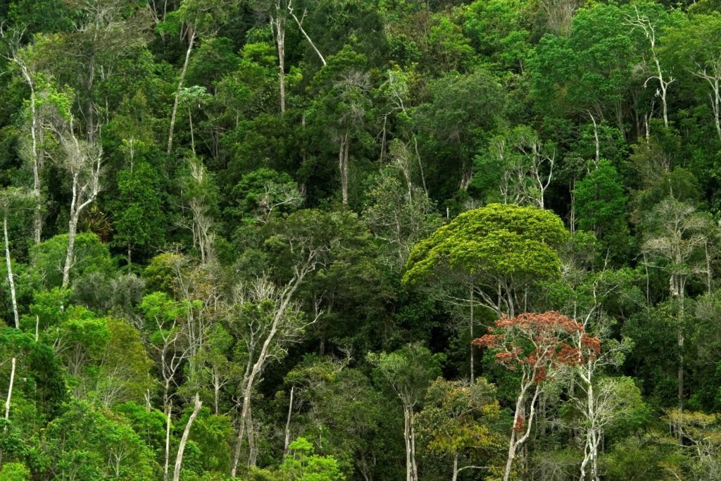 Extremo Sul da Bahia é destaque em preservação ambiental