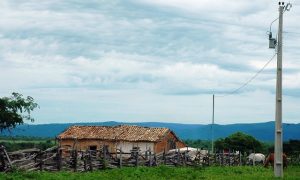 Carletto quer o fim do decreto que aumenta a conta de luz rural