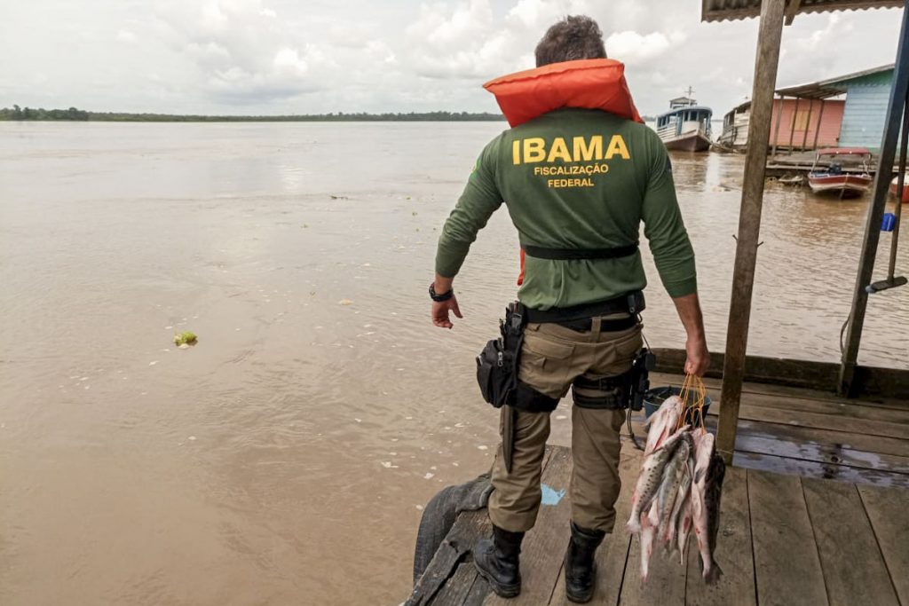 Pesca do robalo está proibida até 31 de julho na Bahia