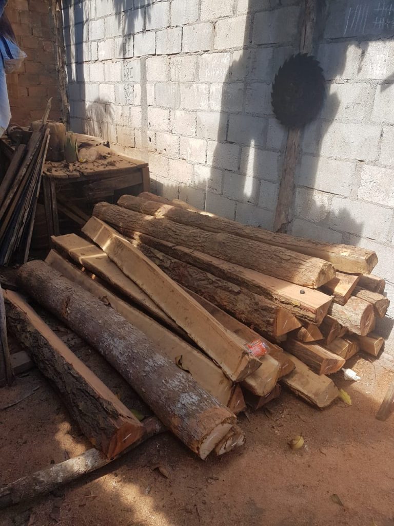 CIPPA apreende madeira nativa em Belmonte