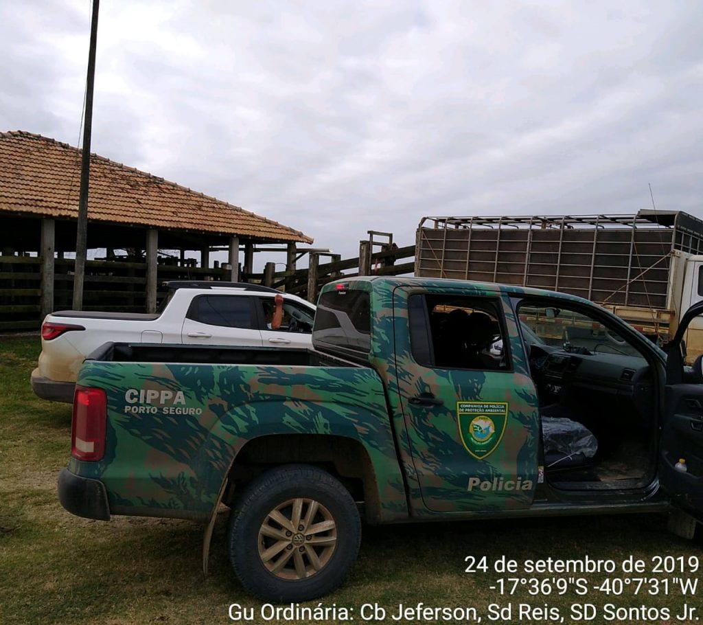 CIPPA e ADAB combatem criação de gado em área de preservação