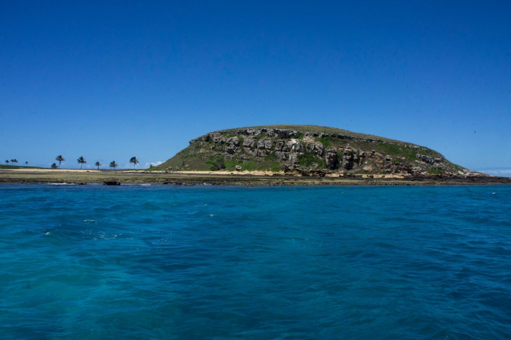 Óleo se aproxima do Arquipélago de Abrolhos, no extremo sul