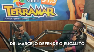 Prefeito defende plantio de eucalipto em Itamaraju durante entrevista