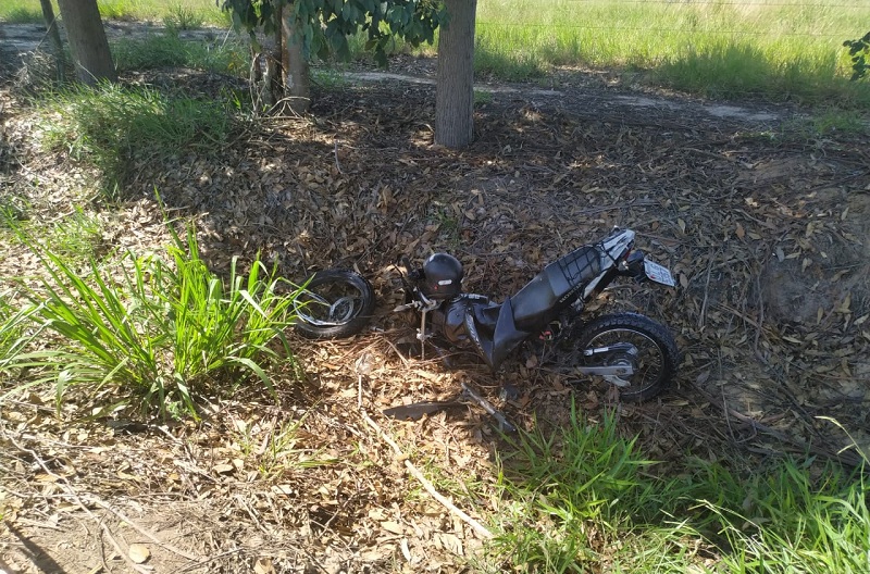 Motociclista morre ao colidir com careta de eucalipto na BA-290