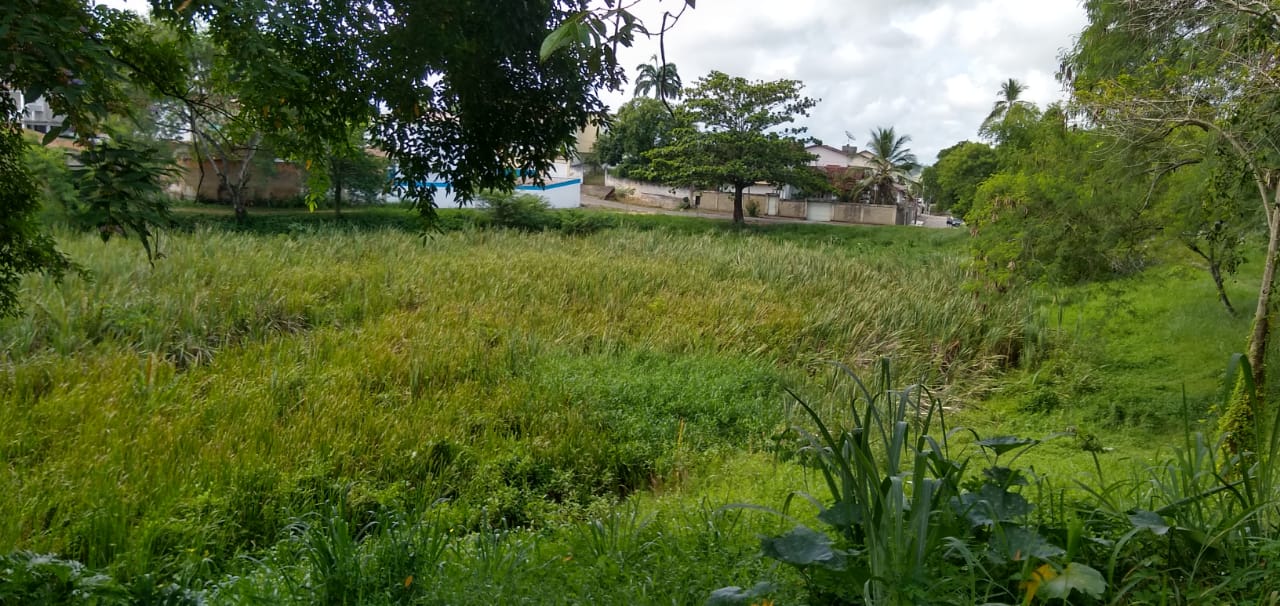 Itamaraju: Lagoa do Jacaré está cheia de lixo e virou esconderijo de bandidos