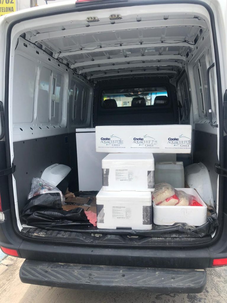 Porto Seguro: Vigilância Sanitária apreende e inutiliza 250 kg de salmão