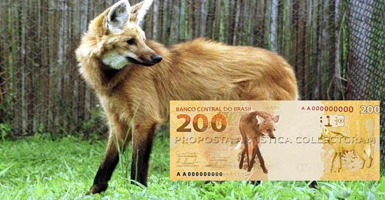 Com imagem de lobo-guará, Banco Central anuncia cédula de R$ 200