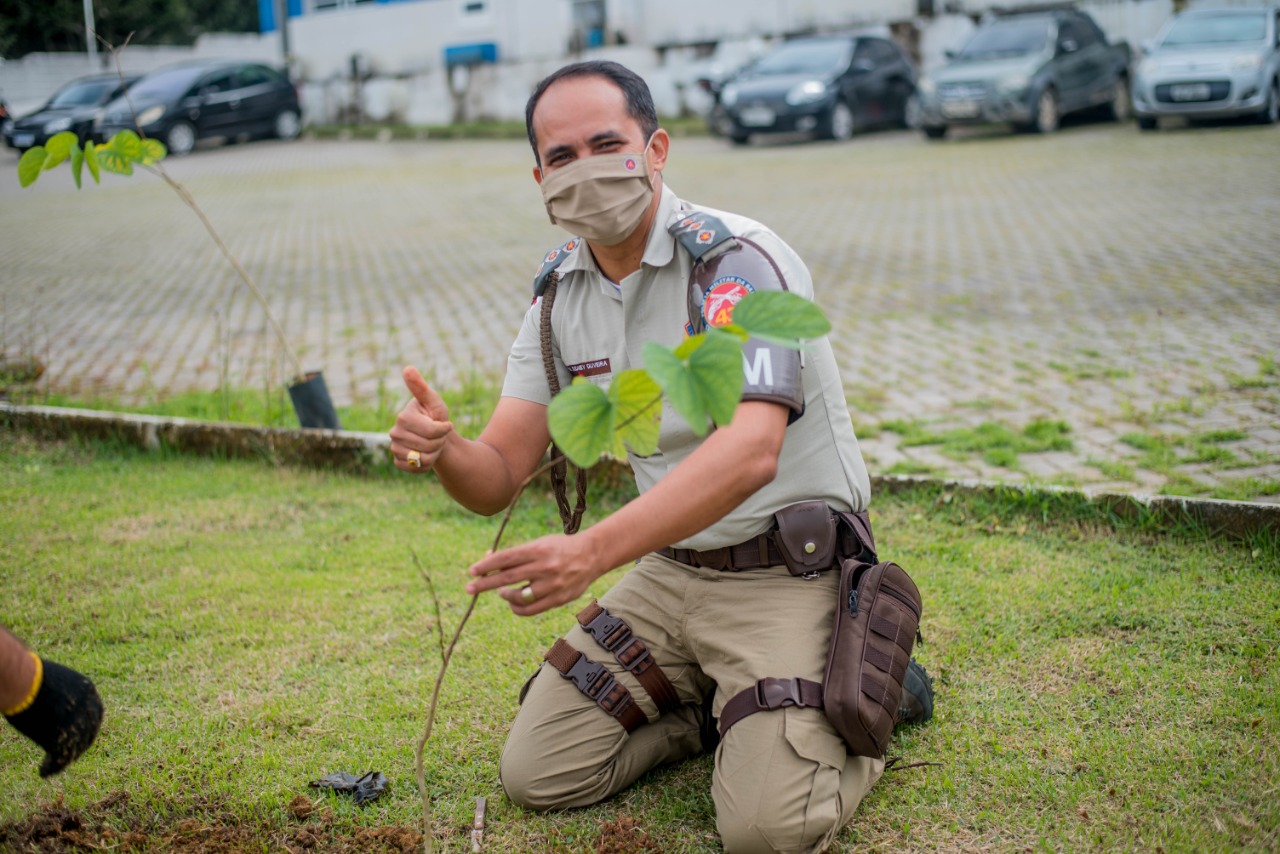 43ª CIPM e GADS promovem arborização do quartel da Polícia Militar de Itamaraju