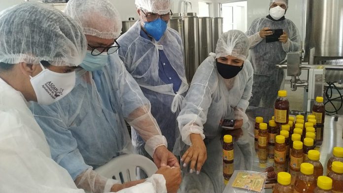 Eunápolis: Entreposto de mel com capacidade para processar 1.600 quilos é inaugurado