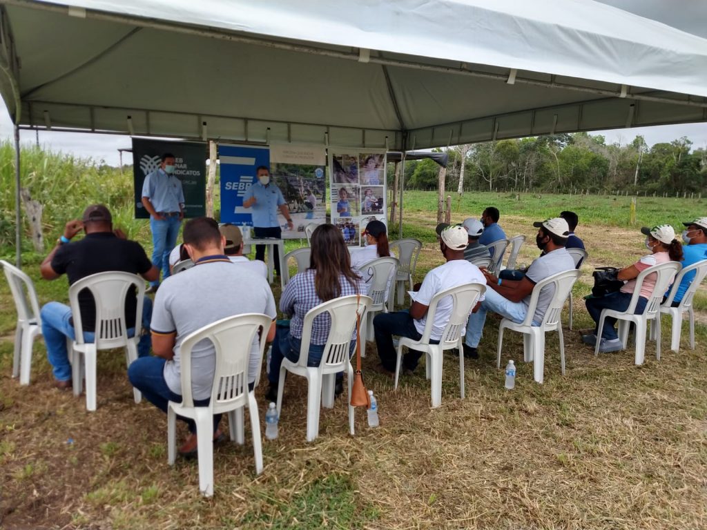 Sebrae e parceiros realizam Dia de Campo Bovinocultura na região de Eunápolis