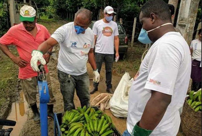 Ilhéus é destaque no Programa Alimenta Brasil; iniciativa fortalece pequeno agricultor