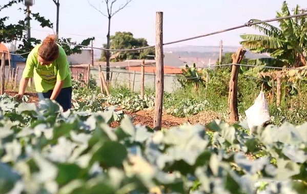 Projeto de extensão sobre agricultura urbana da UFSB avança com mutirões