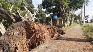 Mucuri: Frente de trabalho inicia limpeza da cidade após temporal com chuva de granizo