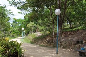 Vereador Jairo Brasil pede asfaltamento da pista de caminhada do Parque Ecológico