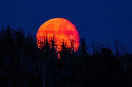 Eclipse lunar total terá Lua de Sangue na madrugada desta terça-feira, 8