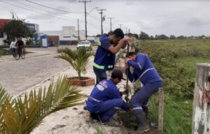 Prefeitura e Embasa começam novos plantios de árvores na cidade de Mucuri