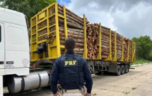 Carreta com diversas irregularidades é removida pela PRF na BR-101 em Teixeira de Freitas