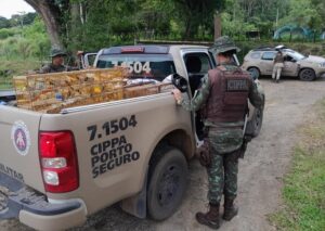 CIPPA apreende 73 aves silvestres, armamentos e munições na zona rural de Ilhéus