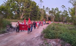 MST ocupa três áreas da Suzano Celulose no Extremo Sul baiano