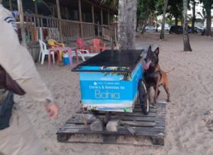 Cão do 8° BPM descobre drogas em carrinho de bebidas em praia de Porto Seguro