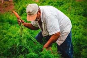 Teixeira: Cadastros para a Feira da Agricultura Familiar retornam na próxima quarta, 1º