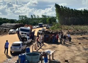 Famílias Sem Terra deixam áreas de cultivo de eucalipto da Suzano no Extremo Sul