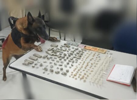 Cão do 8º BPM localiza ecstasy, maconha e cocaína, em Trancoso